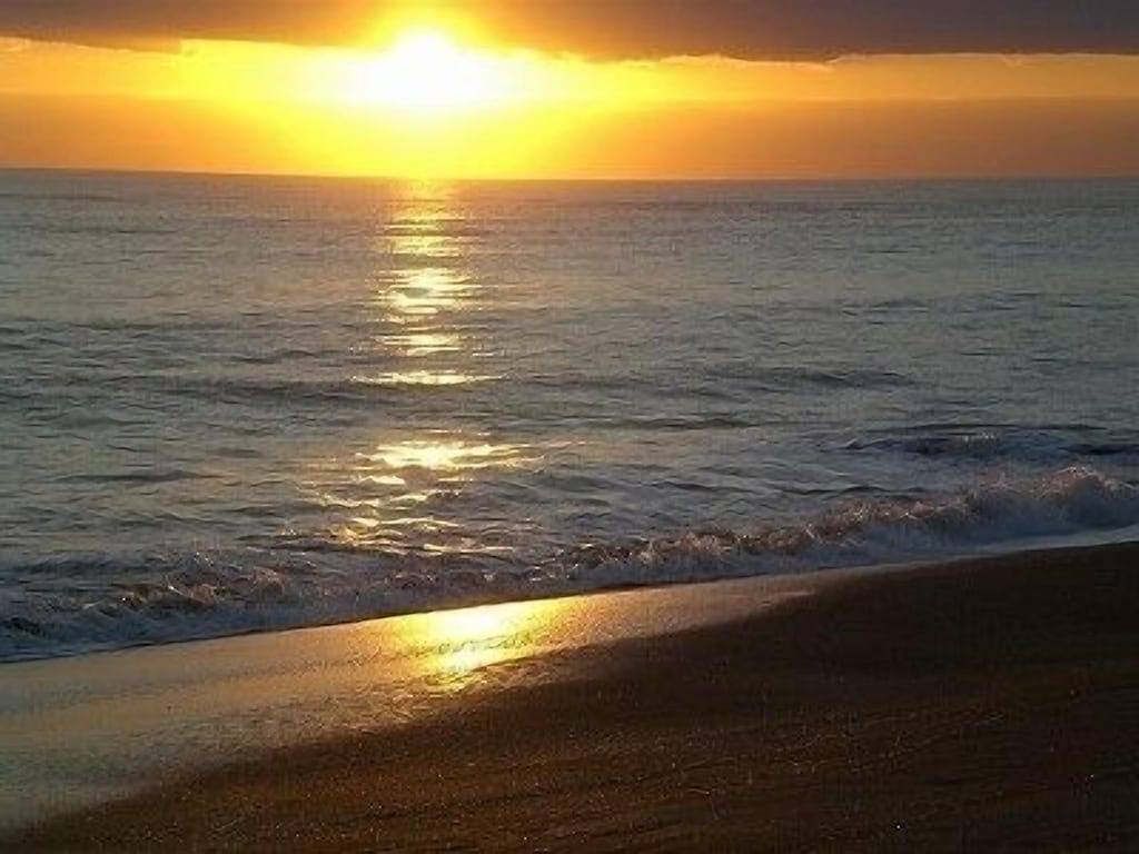 Ganze Wohnung, Luxus Ocean Village Beach Condo mit 5 Sterne Bewertungen mit Wifi und allen Extras in Fort Pierce, Hutchinson Island