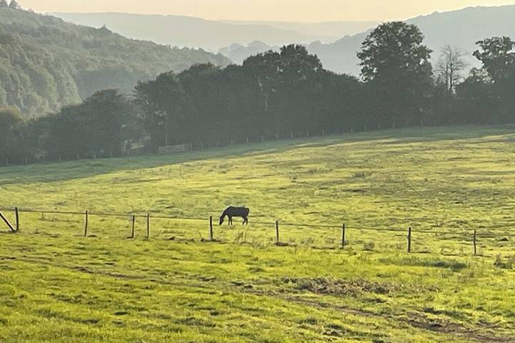 Location de vacances pour 14 personnes dans Perche-en-Nocé