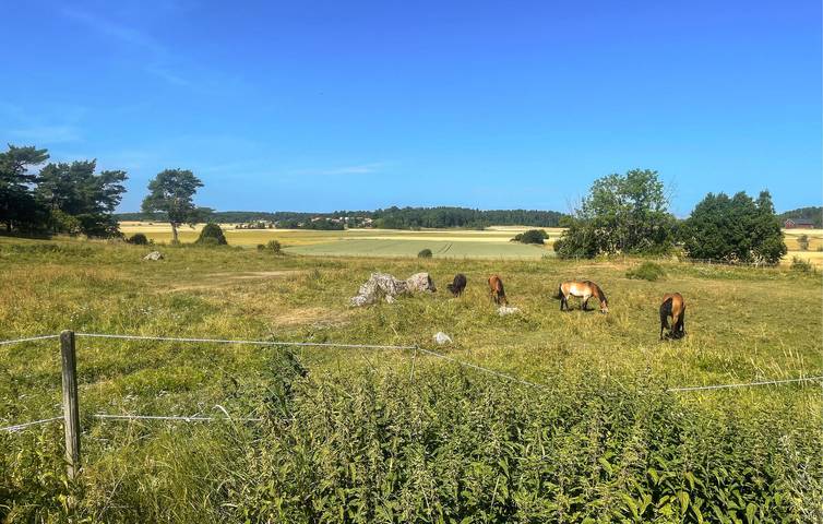 Hus för 3 Personer med trädgård in Mälaren