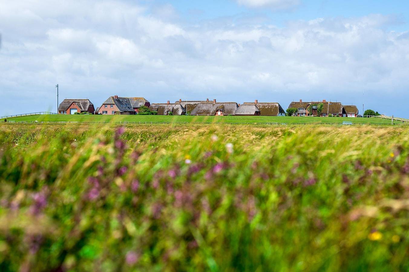Ferienwohnung für 2 Personen in Langeneß, Halligen
