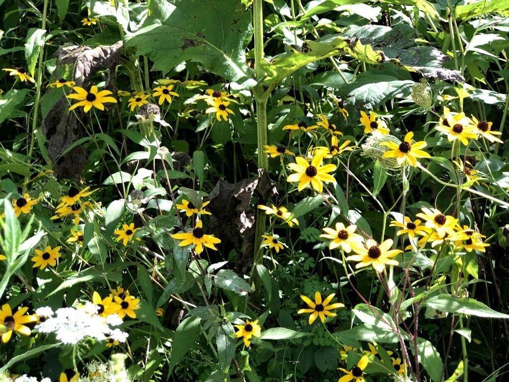 Schönes neues, zeitgemäßes Haus auf einem ruhigen Waldgrundstück, nur wenige Minuten vom Devils Lake entfernt in Sauk County
