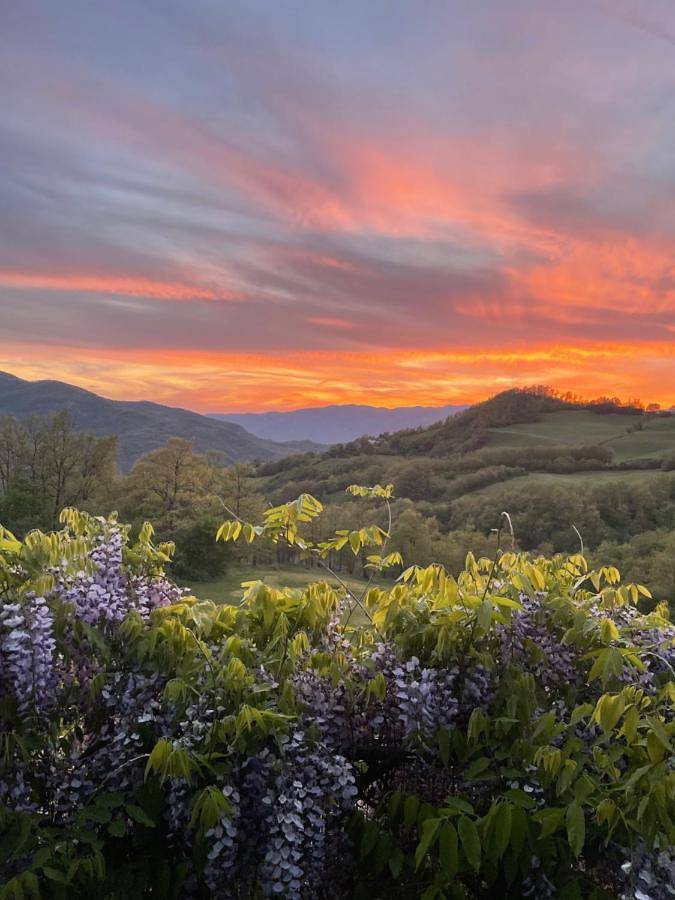 Location de vacances pour 2 personnes, avec vue ainsi que terrasse et jardin, animaux acceptés à Berceto - 2