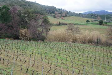 Vakantiehuis voor 6 Personen in La Garde-Freinet, Draguignan en omgeving, Afbeelding 2