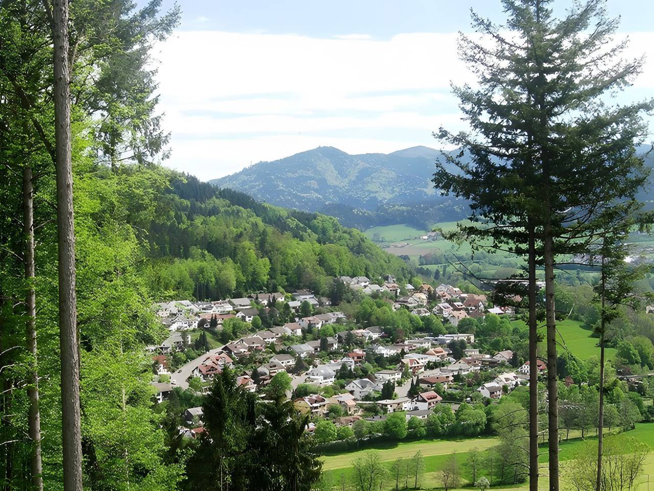 Ganze Ferienwohnung, Ferienwohnung Schubert-Stein in Kollnau, Waldkirch