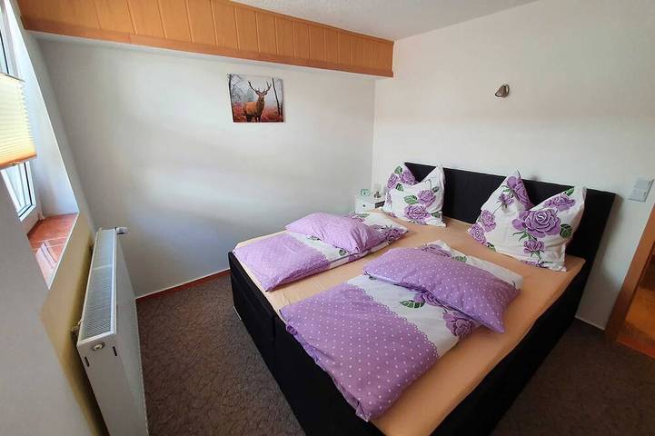 Ferienwohnung für 4 Personen, mit Garten und Balkon, mit Haustier in Tanne - 2