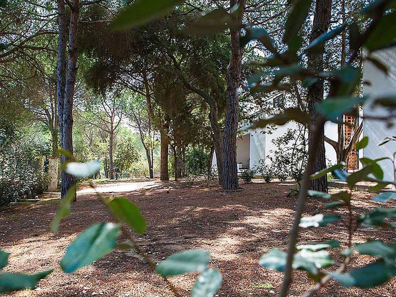 Entire apartment, Villa Alba 2C, Nähe Strand in Sas Linnas Siccas, Orosei