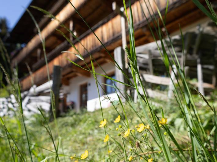 Ferienwohnung für 5 Personen, mit Garten und Terrasse, mit Haustier in Alpbach