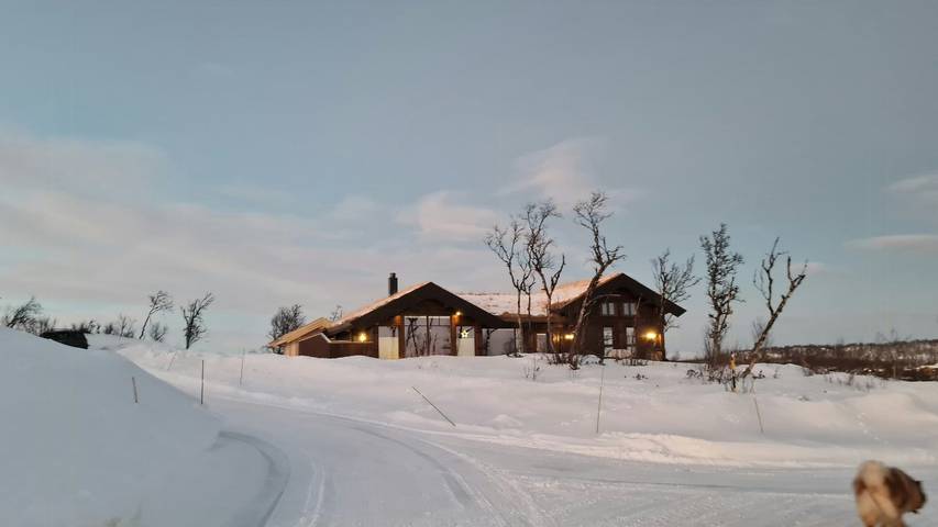 Feriehus for 12 personer, med terrasse, dyr tillatt i Geilo