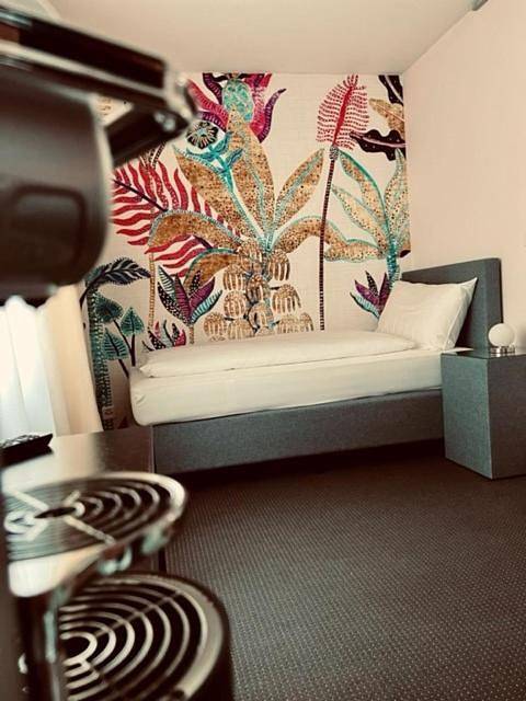 Standard Double Room in Basilea, Region Basel RDK