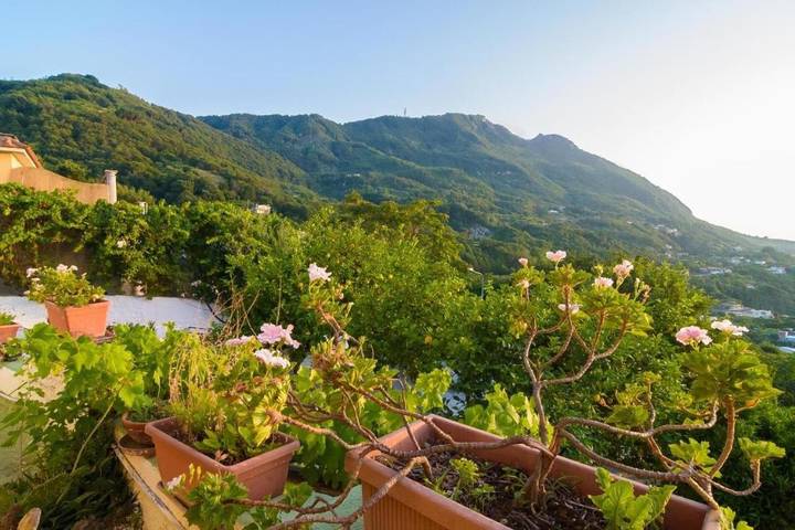 Location de vacances pour 2 personnes, avec terrasse ainsi que piscine et jardin, animaux acceptés dans Ischia - 3