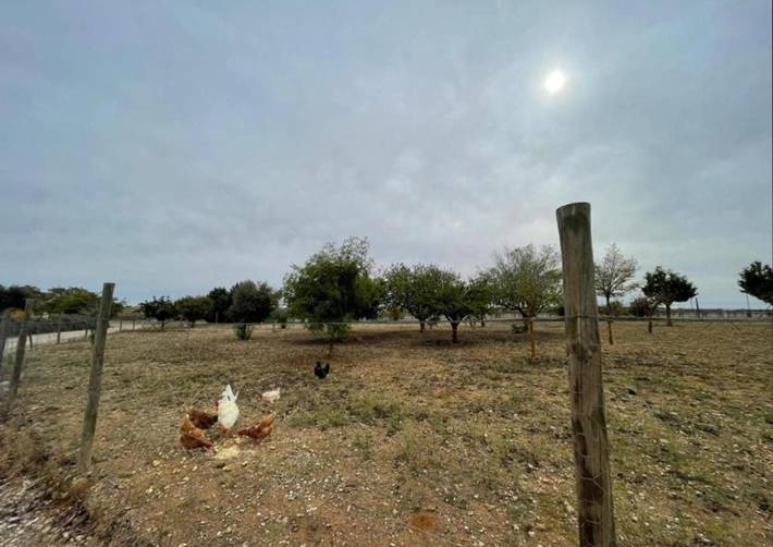 Casa rural para 16 personas, con piscina además de vistas y terraza en Provincia de Cuenca - 4