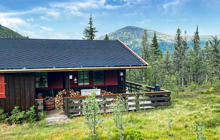 Ferienhaus für 5 Personen mit Terrasse in Tynset