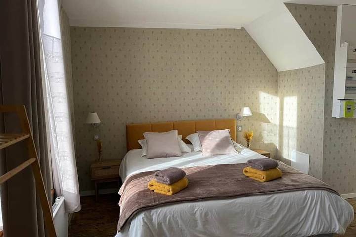 Ganze Wohnung, Le Cocon de la Trinité (T22) in Troyes, Aube