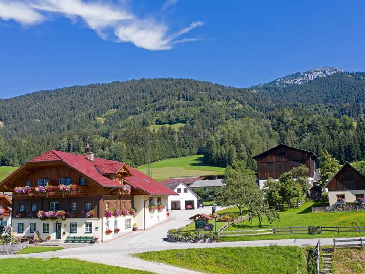 Ganze Ferienwohnung, Kainreiterhof - Kaibling -  Apartment/1 Schlafr./Du., Wc in Aich, Schladming-Dachstein