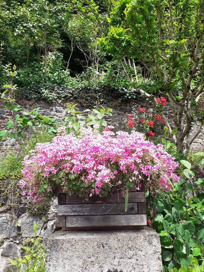 Location de vacances pour 2 personnes, avec jardin à Monistrol-d'Allier - 2