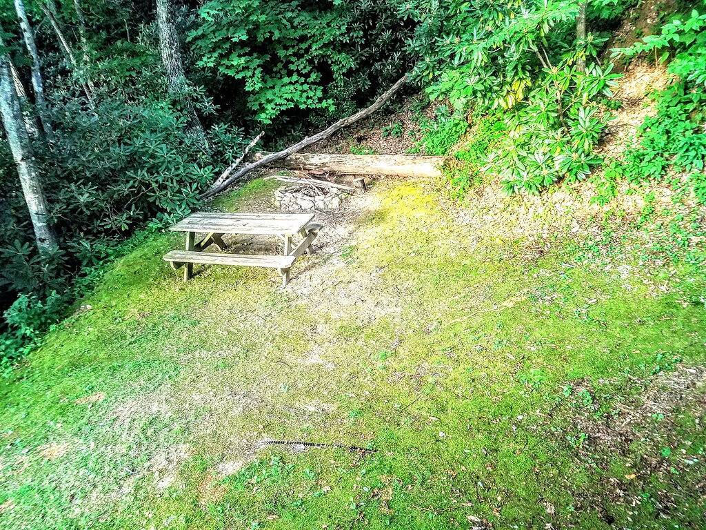 Erstaunliche Aussichten Das Ganze Jahr! Blockhaus, Whirlpool, Kamin, Feuerstelle, Privat in Blue Ridge Parkway, Cataloochee Valley