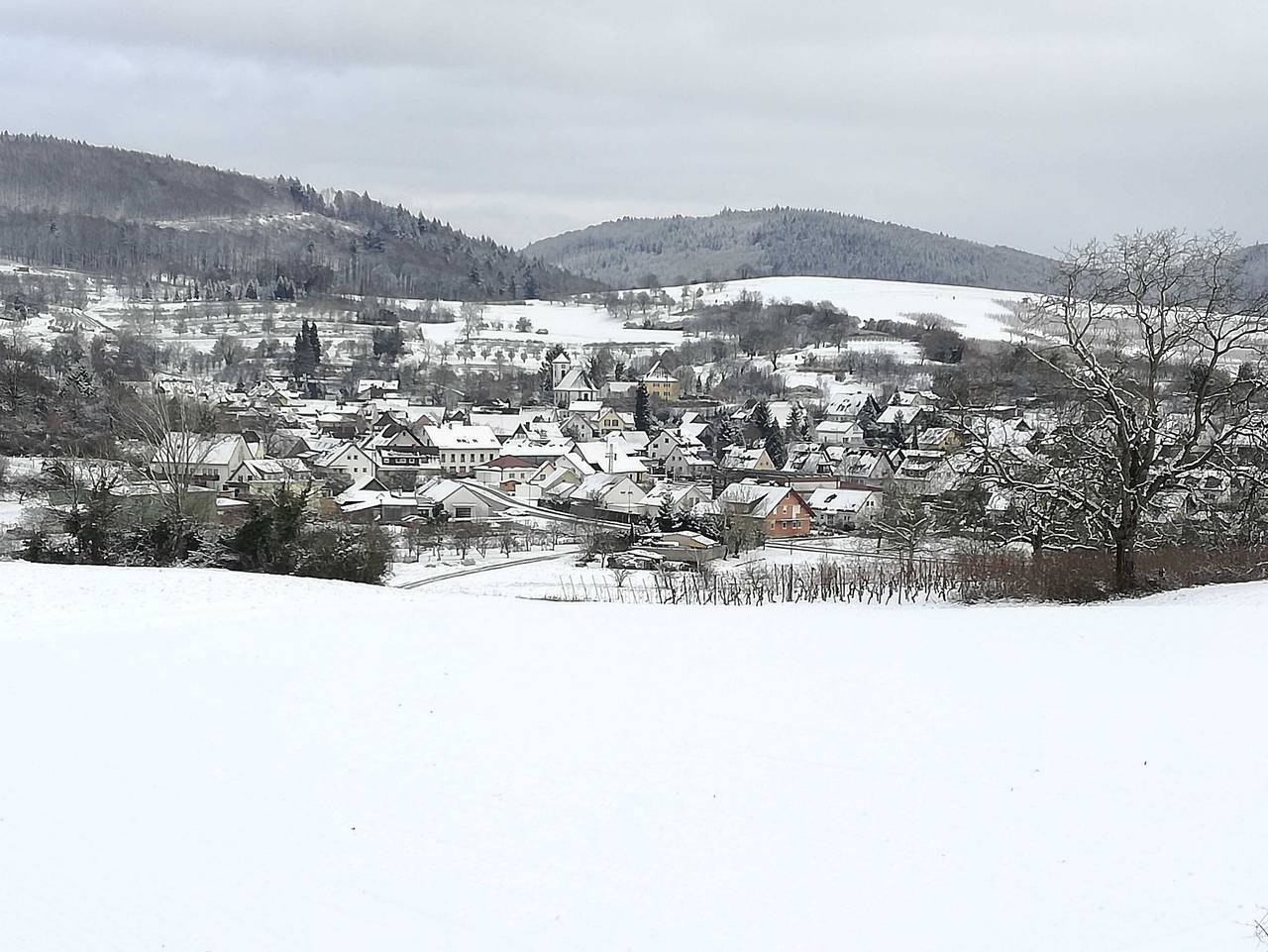 Ganze Ferienwohnung, Galerie Über den Gärten - Ferienwohnung Galerie Über den Gärten in Herbolzheim, Südschwarzwald