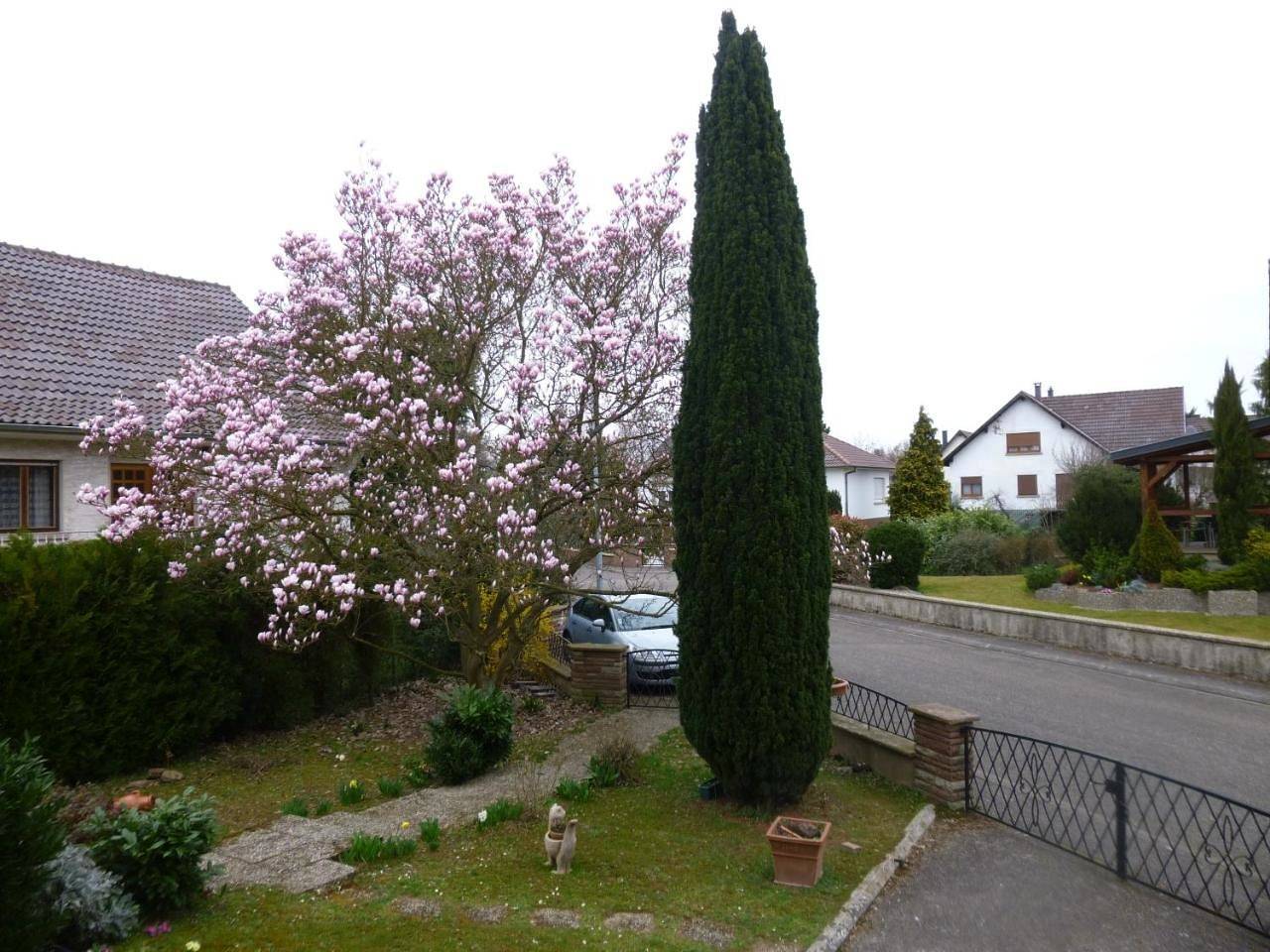 Appartement entier, One-Bedroom Apartment in Lingolsheim, Région de Strasbourg