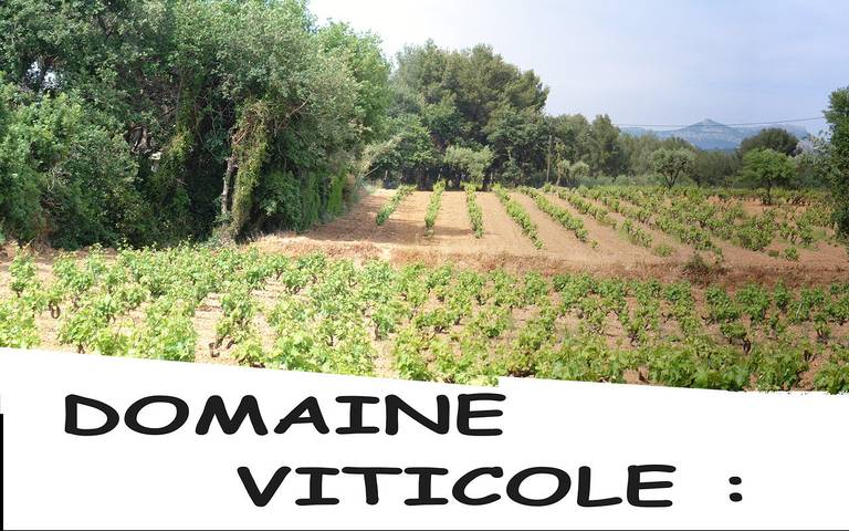 Gîte pour 2 personnes, avec vue ainsi que terrasse et jardin dans le Var - 2
