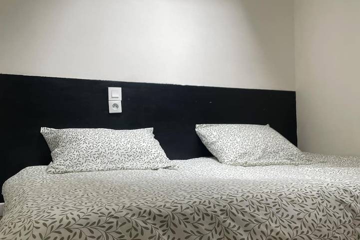 Appartement entier, The Jungle Room🌴 situé à 2 pas de la gare 🚉 in Troyes, Aube