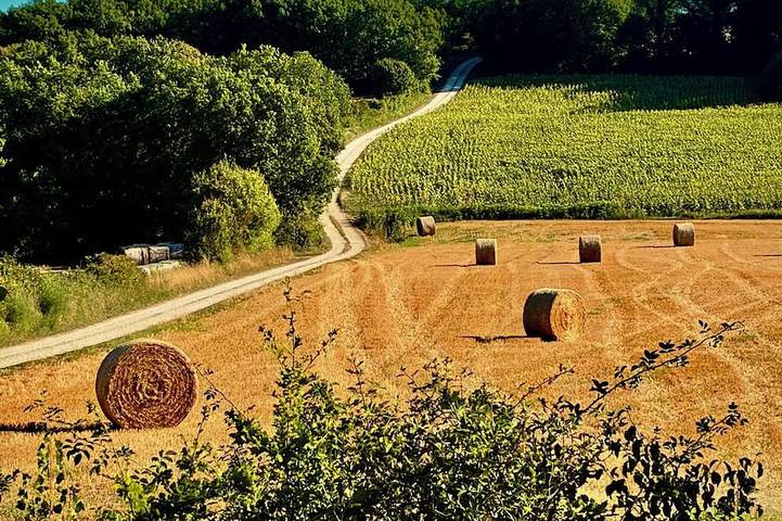 Location de vacances pour 6 personnes, avec piscine à Belvèze