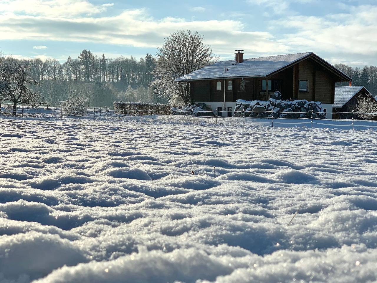 Ganze Ferienwohnung, Seeles Ferienhaus - Seele´s Ferienwohnung Feine Zirbe in Walkenried, Harzvorland