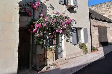 Gîte pour 4 personnes, avec terrasse, animaux acceptés à Montsoreau