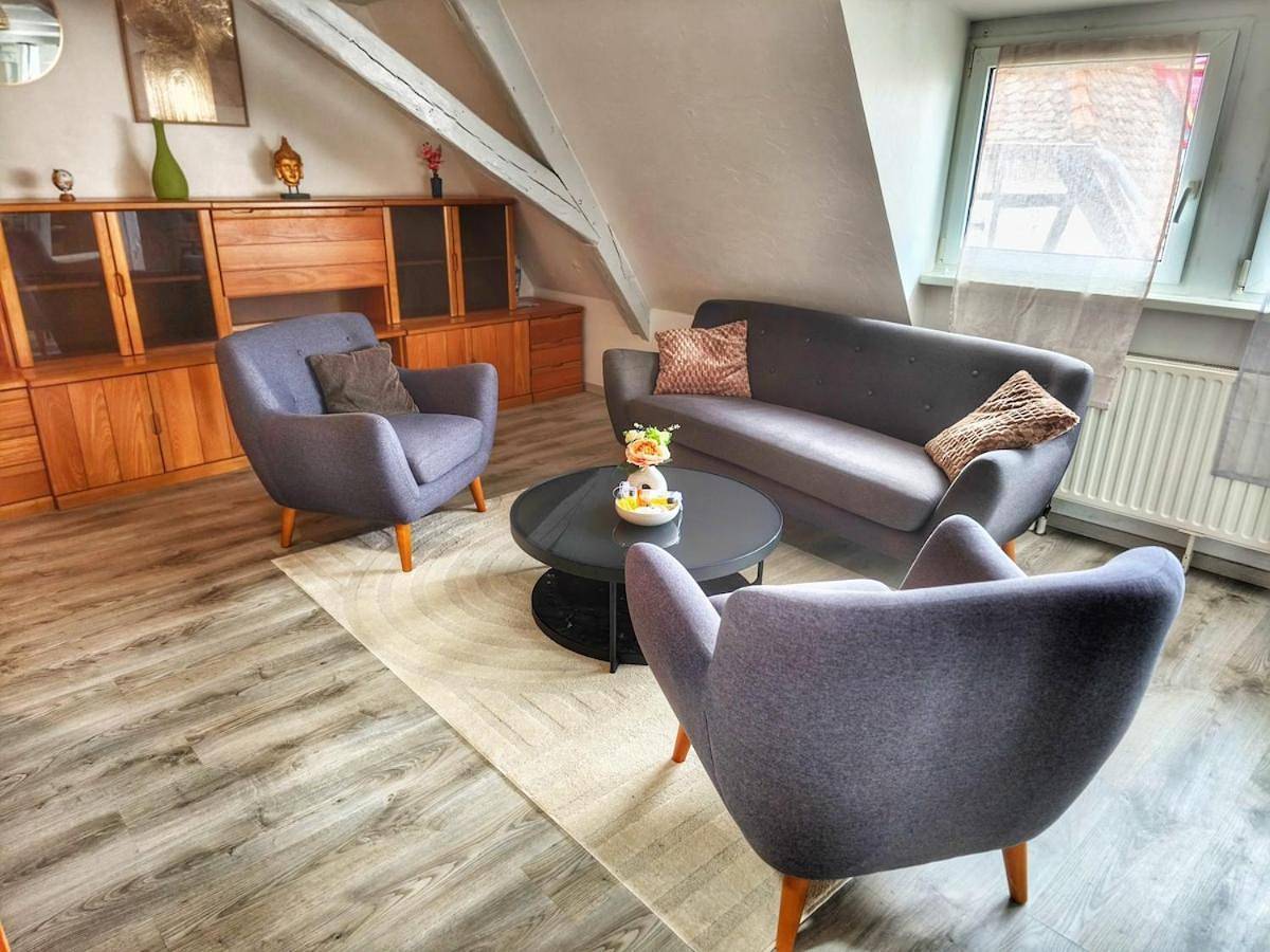 Appartement entier, Le grain noble de Wissembourg in Weißenburg, Région de Wissembourg