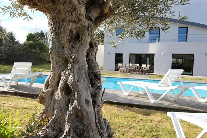 Chalet para 10 personas, con jacuzzi además de jardín y piscina - 1