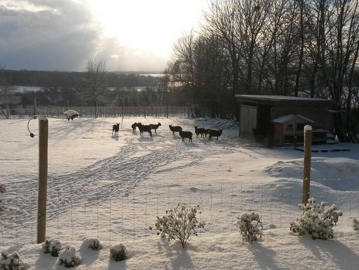 Hotel für 4 Personen, mit Garten, kinderfreundlich in Oedheim