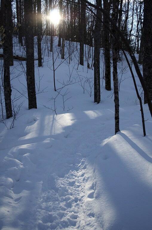 Sehr sauberes Dorfhaus - Red Door Cottage in Lake Placid, Adirondack Mountains