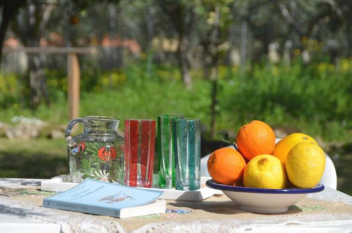 Chambre d’hôte pour 2 personnes, avec jardin et piscine, animaux acceptés à San Vito Lo Capo - 3