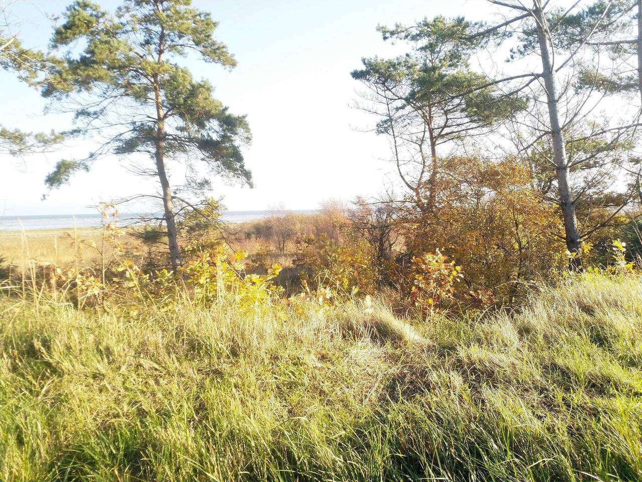 Tranquil Waterfront Cottage-By Traum in Hadsund, Himmerland