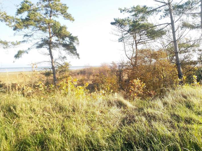 Ferienhaus für 4 Personen, mit Garten und Terrasse, kinderfreundlich in Øster Hurup - 3