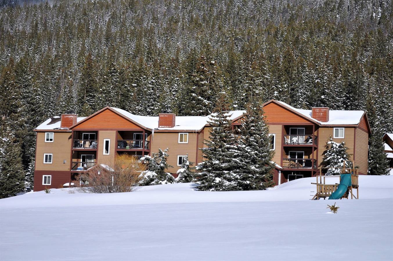 Entire apartment, Blue River Condos 3 Bed 2 Bath Brlr in Blue River, Summit County