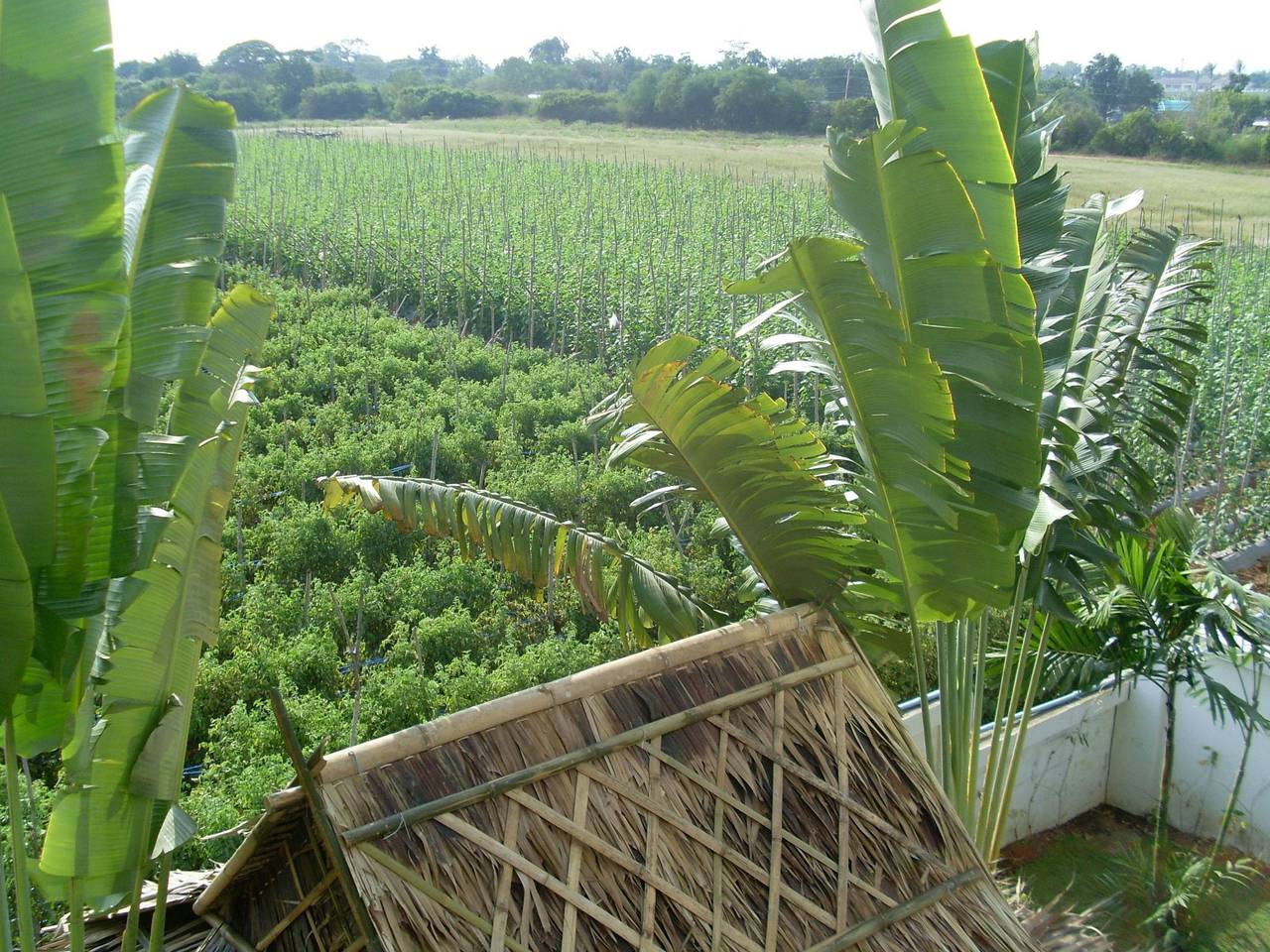 Moderne Ferienvilla zwischen Hügeln und Meer in Prachuap Khiri Khan