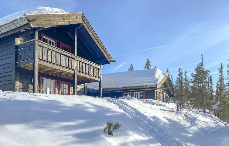 Ferienhaus für 11 Personen mit Garten in Sigdal