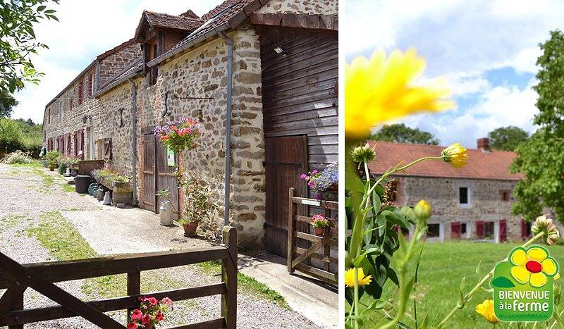 Chambre d’hôte pour 4 personnes, avec jardin dans Le Bouillon