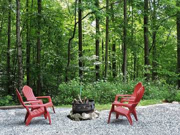 Log Cabin for 5 Guests in Fontana Lake, Graham County, Picture 2