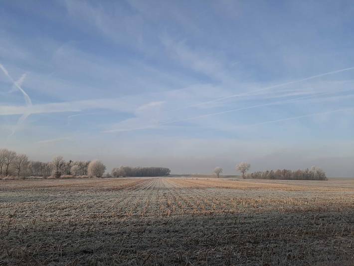 Bauernhaus für 6 Personen, mit Garten, mit Haustier in Schwanewede - 4