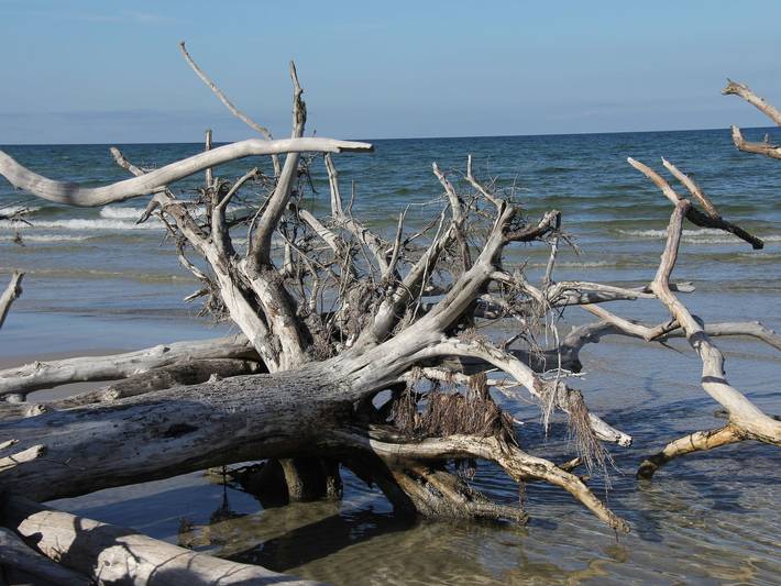 Ferienwohnung für 3 Personen, mit Balkon in Prerow - 3