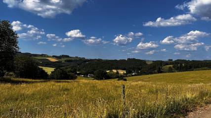 Ferienwohnung für 6 Personen in Meschede, Hochsauerlandkreis, Bild 4