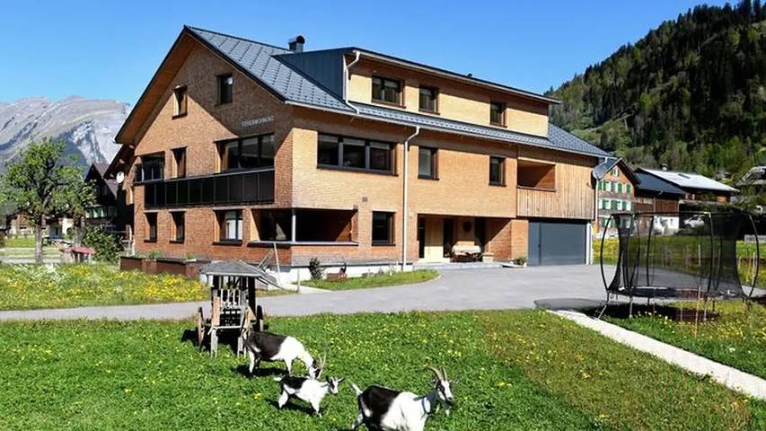 Ferienwohnung für 9 Personen, mit Balkon in Schoppernau - 2