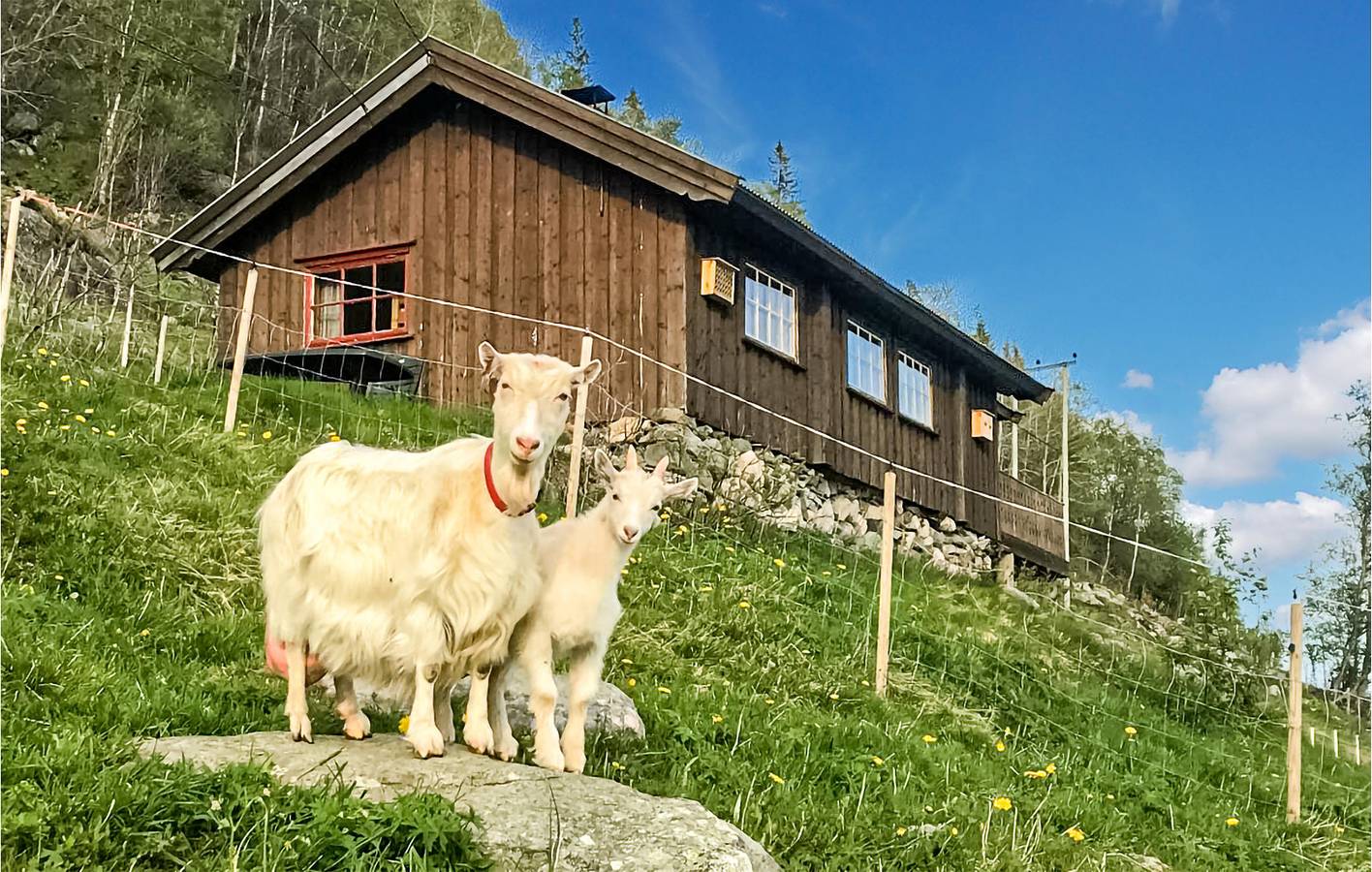 Ferienhaus für 5 Personen mit Garten in Vinje