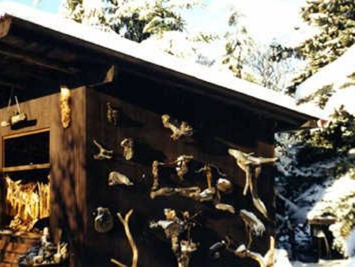 Ferienhaus für 4 Personen, mit Garten im Ostharz - 4