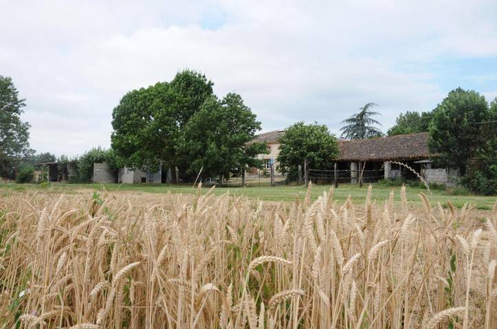 Location de vacances pour 3 personnes, avec vue et jardin à Beaumont-de-Lomagne - 3