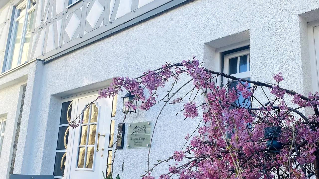 Ganze Ferienwohnung, Ferienwohnung für 2 Personen (17 m²) in Höhr-Grenzhausen in Höhr-Grenzhausen, Westerwald