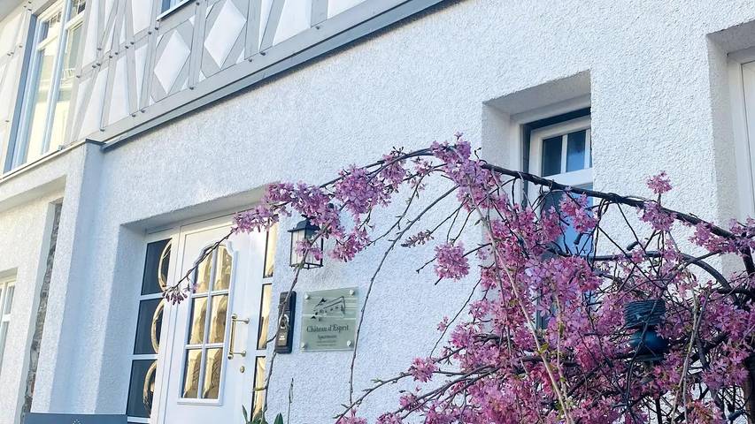 Ferienwohnung für 3 Personen in Höhr-Grenzhausen - 2