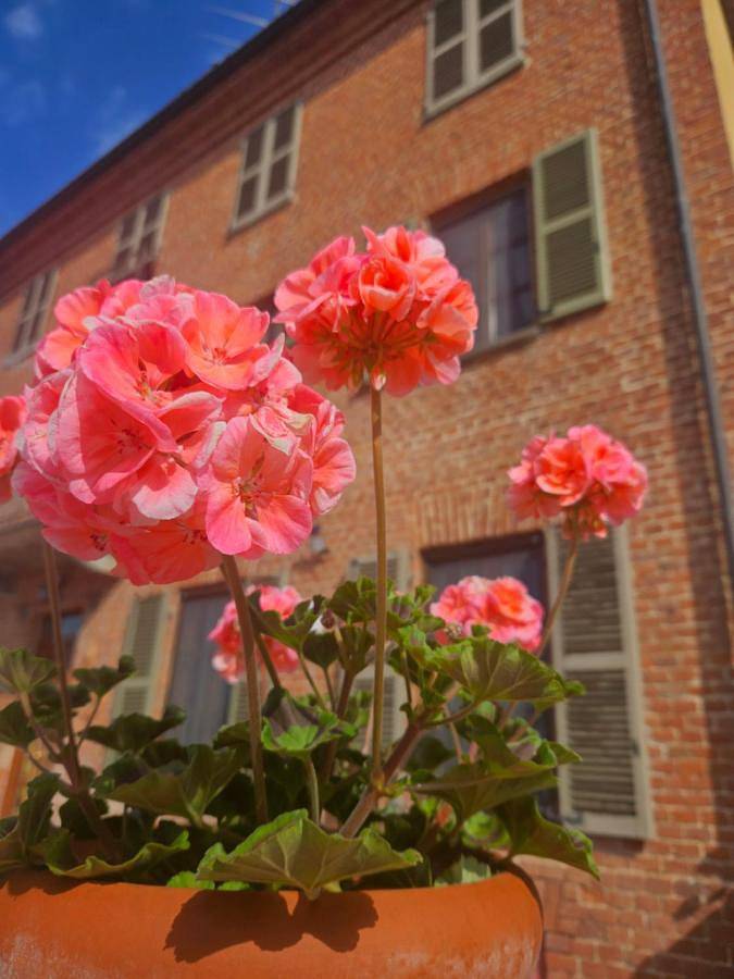 Location de vacances pour 3 personnes, avec vue à Tigliole - 3