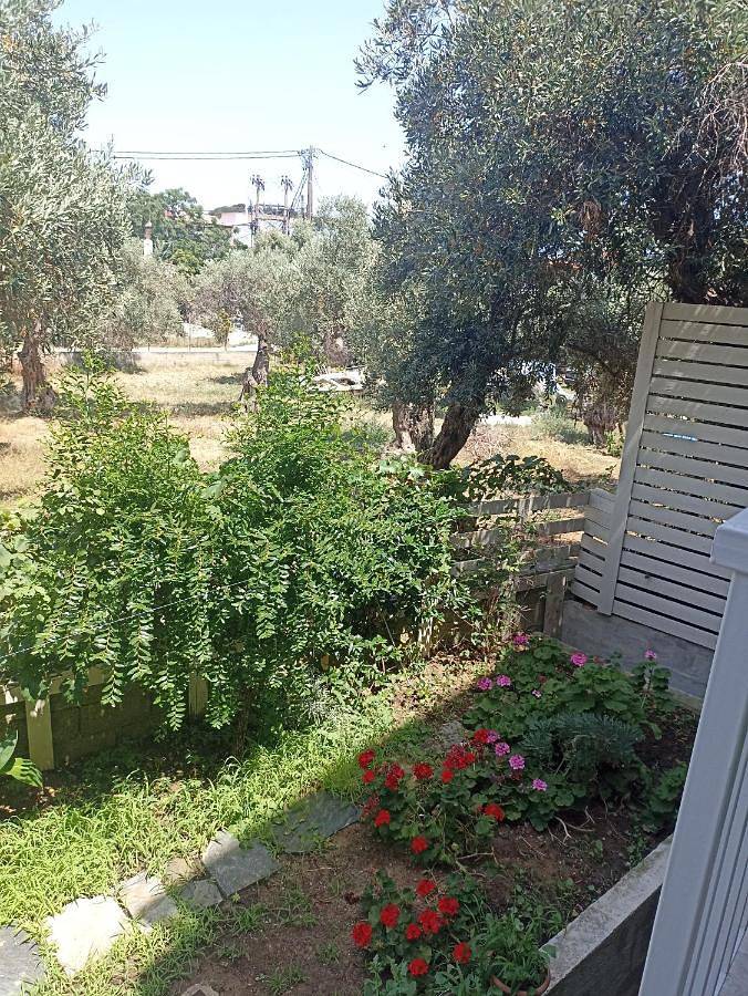 Maison d’hôte pour 2 personnes, avec Balcon et Terrasse dans Skiathos - 4